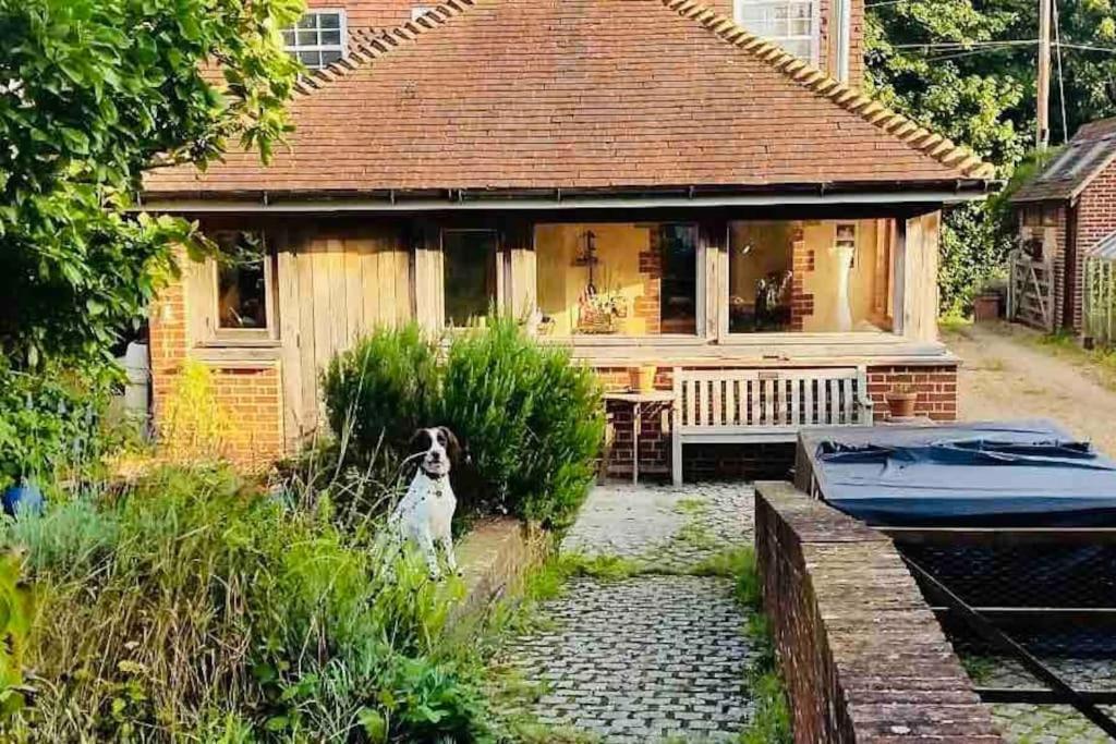 Nature Charm & Fruit Delights, Multi-Generation Celebratory Home -Try, Relax, Repeat - Sellindge Ashford  Extérieur photo