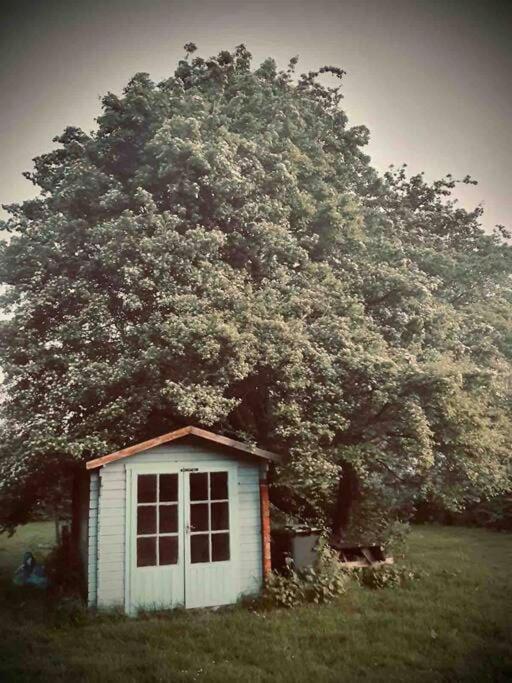 Nature Charm & Fruit Delights, Multi-Generation Celebratory Home -Try, Relax, Repeat - Sellindge Ashford  Extérieur photo
