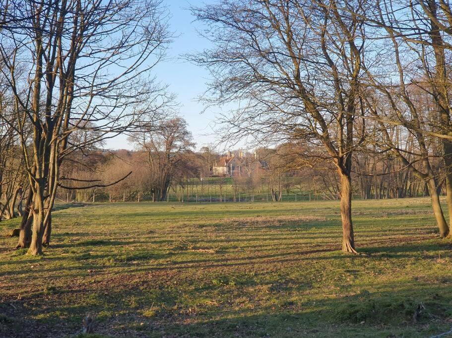 Nature Charm & Fruit Delights, Multi-Generation Celebratory Home -Try, Relax, Repeat - Sellindge Ashford  Extérieur photo