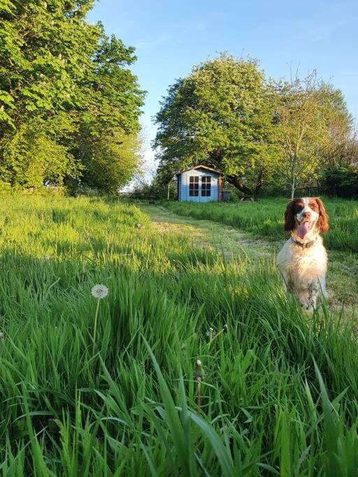 Nature Charm & Fruit Delights, Multi-Generation Celebratory Home -Try, Relax, Repeat - Sellindge Ashford  Extérieur photo