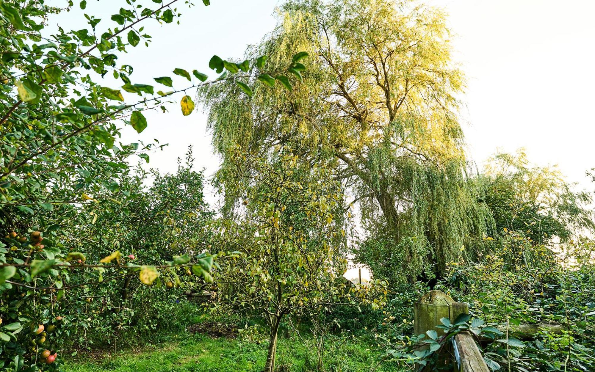 Nature Charm & Fruit Delights, Multi-Generation Celebratory Home -Try, Relax, Repeat - Sellindge Ashford  Extérieur photo